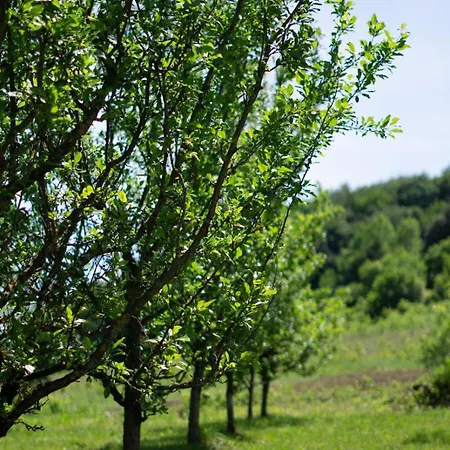 Apartamento Kuca Za Odmor Bella Terra